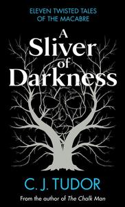 A Sliver Of Darkness di C. J. Tudor edito da Penguin Books Ltd