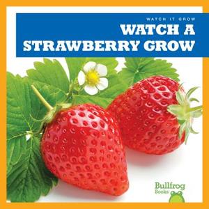 Watch a Strawberry Grow di Kirsten Chang edito da JUMP