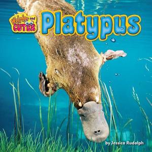 Platypus di Jessica Rudolph edito da BEARPORT PUB CO INC