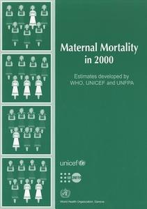 Maternal Mortality In 2000 edito da World Health Organization