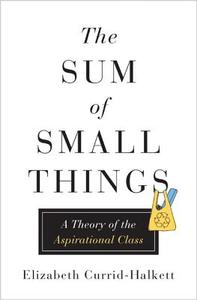 Sum of Small Things di Elizabeth Currid-Halkett edito da Princeton Univers. Press