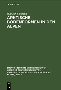 Arktische Bodenformen in Den Alpen di Wilhelm Salomon edito da Walter de Gruyter