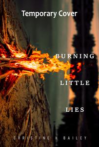 Burning Little Lies di Christine H. Bailey edito da ARTEMESIA PUB