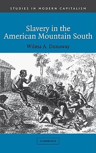 Slavery in the American Mountain South di Wilma A. Dunaway edito da Cambridge University Press