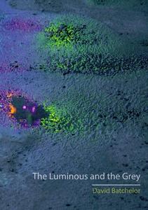 The Luminous and the Grey di David Batchelor edito da Reaktion Books