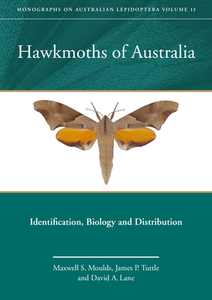 Hawkmoths Of Australia di Maxwell S. Moulds, James P. Tuttle, David A. Lane edito da Csiro Publishing