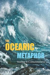 The Oceanic Metaphor: Meaning Equivalence (M.E.), Probability Theory, and the Virtual Simulation Hypothesis of Consciousness di David Christopher Lane edito da Mount San Antonio College/Philosophy Group