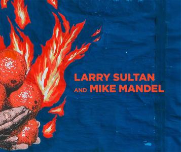 Larry Sultan & Mike Mandel edito da D A P & DISTRIBUTED ART PUBL