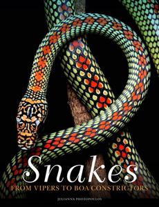 Snakes: From Vipers to Boa Constrictors di Julianna Photopoulos edito da AMBER BOOKS
