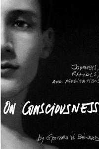 On Consciousness di Gonzalo W. Benard edito da Blurb