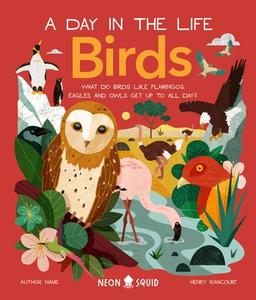 Birds (a Day in the Life): What Do Flamingos, Owls, and Penguins Get Up to All Day? di Alex Bond, Neon Squid edito da NEON SQUID US