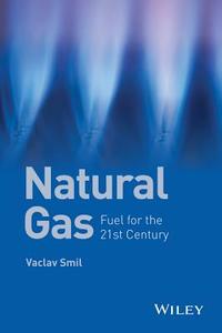 Natural Gas di Vaclav Smil edito da John Wiley and Sons Ltd
