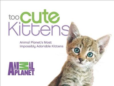 Too Cute Kittens: Animal Planet's Most Impossibly Adorable Kittens edito da Harlequin