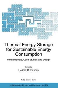 Thermal Energy Storage for Sustainable Energy Consumption edito da Springer Netherlands