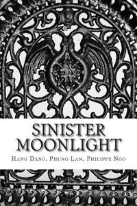 Sinister Moonlight: Guide for Tarot Beginner di Hang Dang edito da Createspace