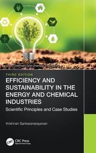 Efficiency And Sustainability In The Energy And Chemical Industries di Krishnan Sankaranarayanan edito da Taylor & Francis Ltd