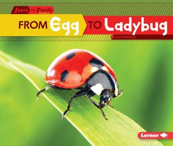 From Egg to Ladybug di Lisa Owings edito da LERNER CLASSROOM