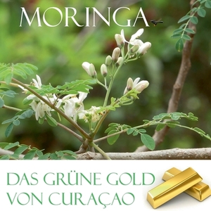 Das grüne Gold von Curacao di Elke Verheugen edito da Books on Demand