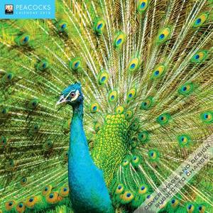 Peacocks Wall Calendar 2018 (art Calendar) di Inc Browntrout Publishers edito da Flame Tree Publishing