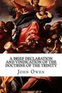 A Brief Declaration and Vindication of the Doctrine of the Trinity di John Owen edito da Createspace