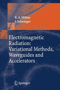 Electromagnetic Radiation di Kimball A. Milton, Julian Schwinger edito da Springer-Verlag GmbH