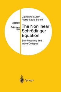 The Nonlinear Schrödinger Equation di Catherine Sulem, Pierre-Louis Sulem edito da Springer New York