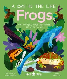 Frogs (a Day in the Life): What Do Frogs, Toads, and Tadpoles Get Up to All Day? di Itzue W. Caviedes-Solis, Neon Squid edito da NEON SQUID US