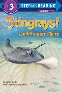 Stingrays!: Underwater Fliers di Carole Gerber edito da RANDOM HOUSE