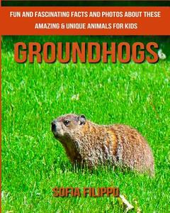 Groundhogs: Fun and Fascinating Facts and Photos about These Amazing & Unique Animals for Kids di Sofia Filippo edito da Createspace Independent Publishing Platform