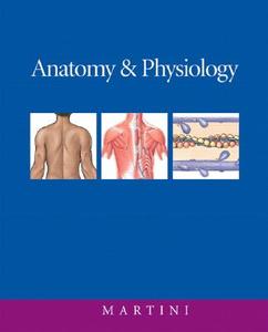 Anatomy And Physiology di Frederic Martini edito da Pearson Education (us)