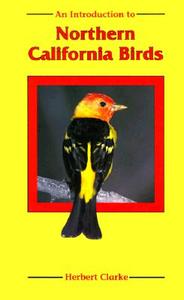 An Introduction to Northern California Birds di Herbert Clarke edito da Mountain Press Publishing Company