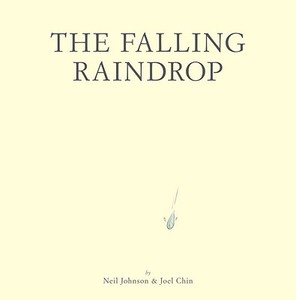 The Falling Raindrop di Neil Johnson, Joel Chin edito da Tricycle Press