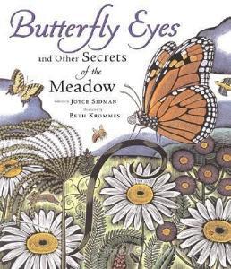 Butterfly Eyes and Other Secrets of the Meadow di Joyce Sidman edito da HOUGHTON MIFFLIN