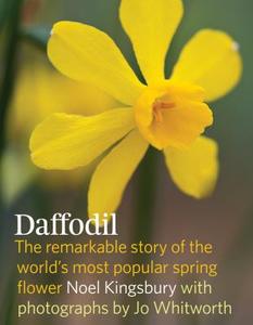 Daffodil di Noel Kingsbury edito da Timber Press