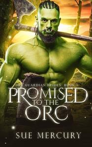 Promised To The Orc di Sue Lyndon, Sue Mercury edito da Independently Published