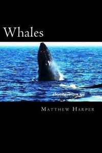 Whales: A Fascinating Book Containing Whale Facts, Trivia, Images & Memory Recall Quiz: Suitable for Adults & Children di Matthew Harper edito da Createspace