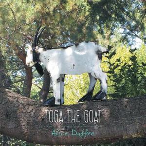 Toga the Goat di Alice Duffee edito da FRIESENPR
