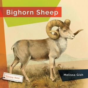 Bighorn Sheep di Melissa Gish edito da CREATIVE ED & PAPERBACKS