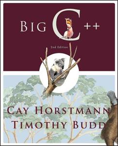 Big C++ di Cay S. Horstmann edito da John Wiley & Sons