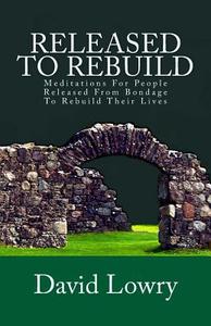 Released to Rebuild: Meditations for People Released from Bondage to Rebuild Their Lives di David Lowry edito da Hopeabides