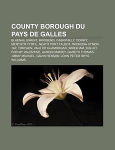 County Borough Du Pays De Galles: Blaena di Source Wikipedia edito da Books LLC, Wiki Series
