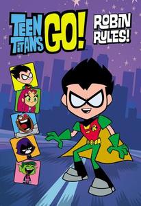 Teen Titans Go!: Robin Rules! di Annie Auerbach edito da Little, Brown Books for Young Readers