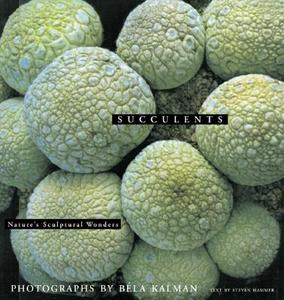 Succulents: Nature\'s Sculptural Wonders di Bela Kalman edito da Rizzoli International Publications