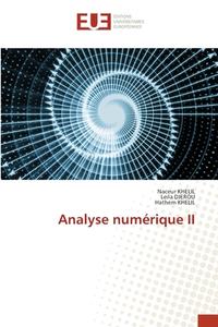 Analyse numérique II di Naceur Khelil, Leila Djerou, Hathem Khelil edito da Éditions universitaires européennes