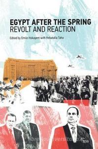 Egypt after the Spring di Emile Hoyakem edito da Routledge