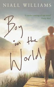Boy In The World di Niall Williams edito da Harpercollins Publishers