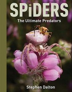 Spiders: The Ultimate Predators di Stephen Dalton edito da Firefly Books