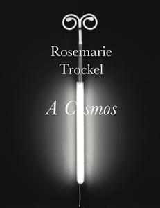Rosemarie Trockel di Lynne Cook edito da Monacelli Press