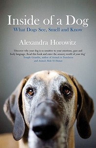 What Dogs See, Smell, And Know di Alexandra Horowitz edito da Simon & Schuster Ltd