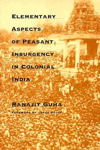 Elementary Aspects of Peasant Insurgency in Colonial India di Ranajit Guha edito da Duke University Press